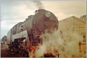 Gosford 3809.jpg